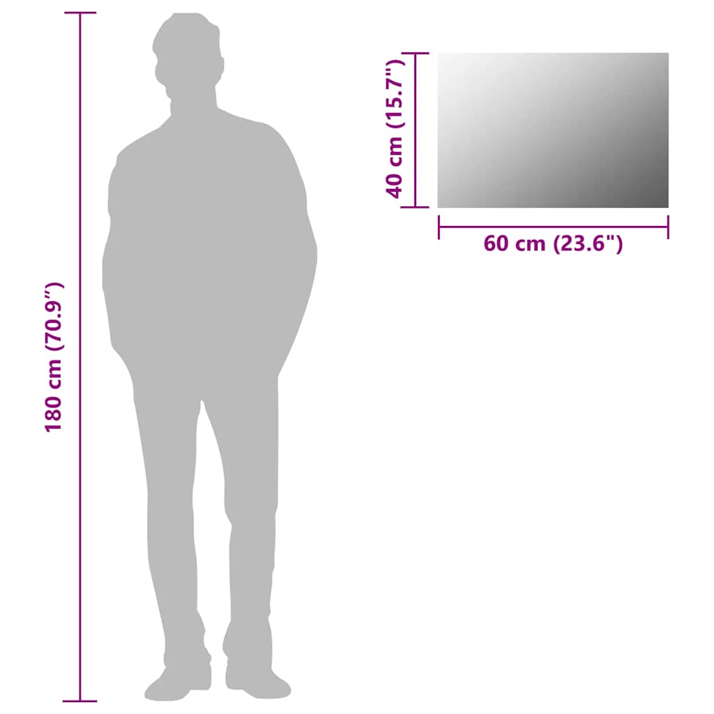 245699 vidaXL Wall Mirror 60x40 cm Rectangular Glass
