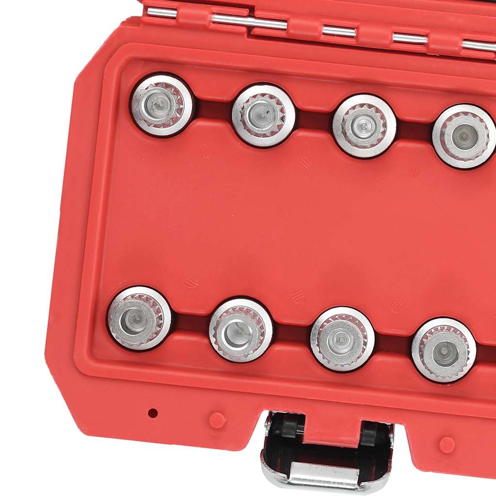 210491 vidaXL 10 Piece Locking Wheel Nut Key Set for BMW