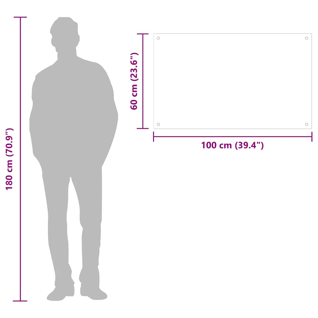 vidaXL Kitchen Backsplash Transparent 100 x 60 cm Tempered Glass