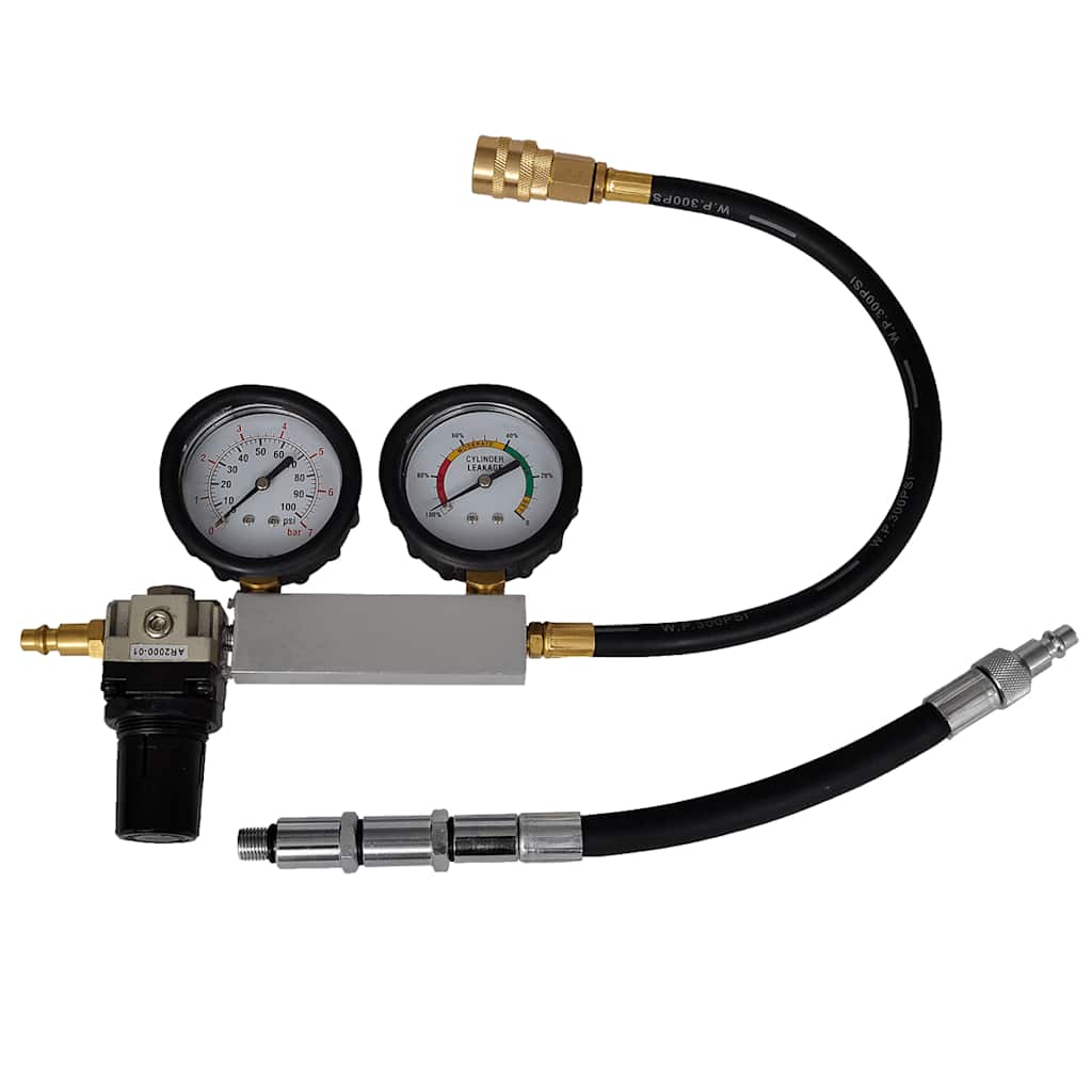 210121 vidaXL Cylinder Leak Detector Set