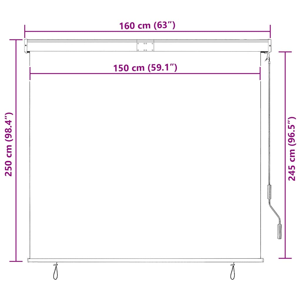 Outdoor Roller Blind 160x250 cm Cream