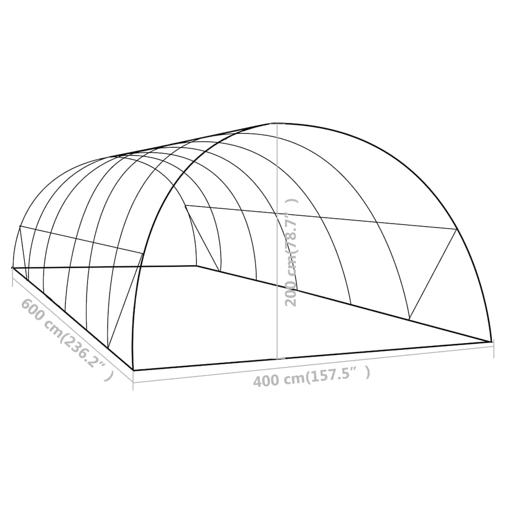 48161 vidaXL Greenhouse 24 m² 6x4x2 m