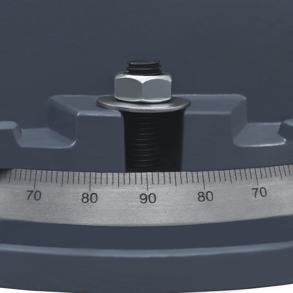 145394 vidaXL Turntable Vice Machine Cast Iron 160 mm