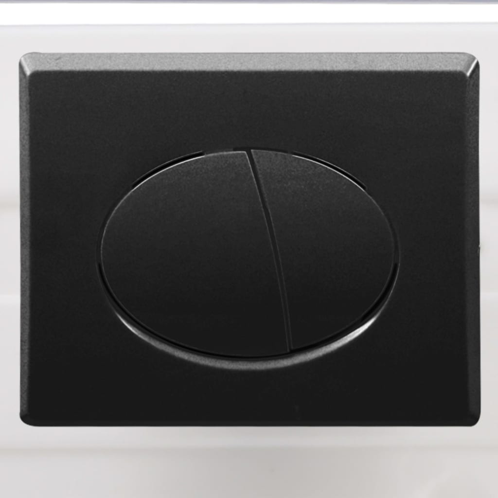 Wall Hung Toilet with Concealed Cistern Ceramic Black