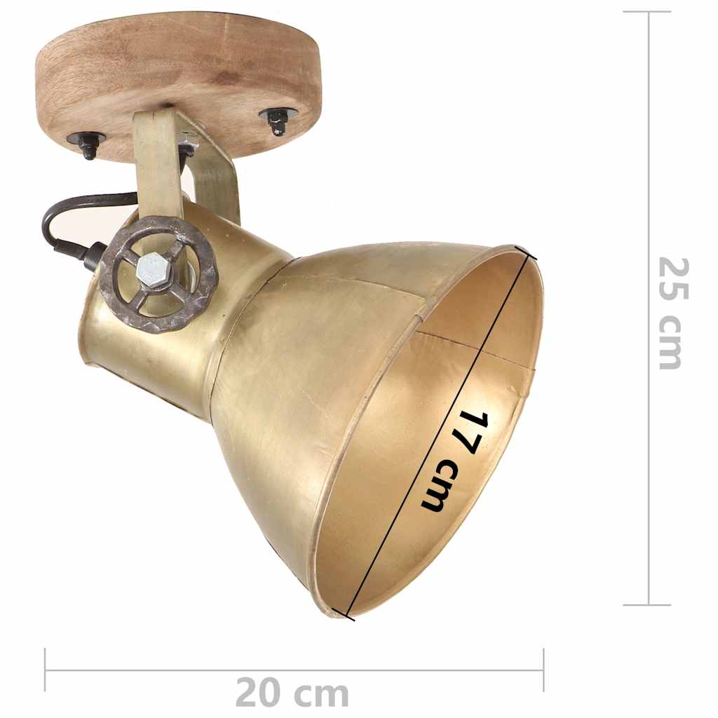 320509 vidaXL Industrial Wall/Ceiling Lamps 2 pcs Brass 20x25 cm E27