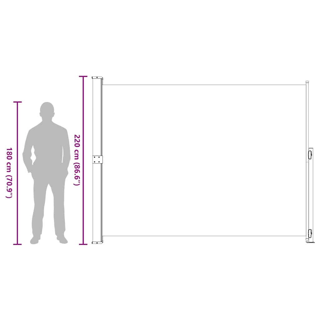 Patio Retractable Side Awning 220x314 cm Grey