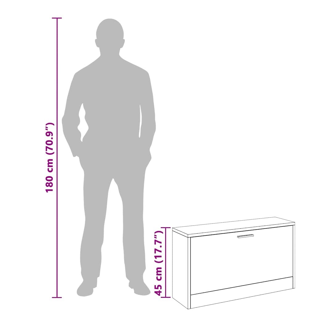 Shoe Bench High Gloss White 80x24x45 cm Engineered Wood