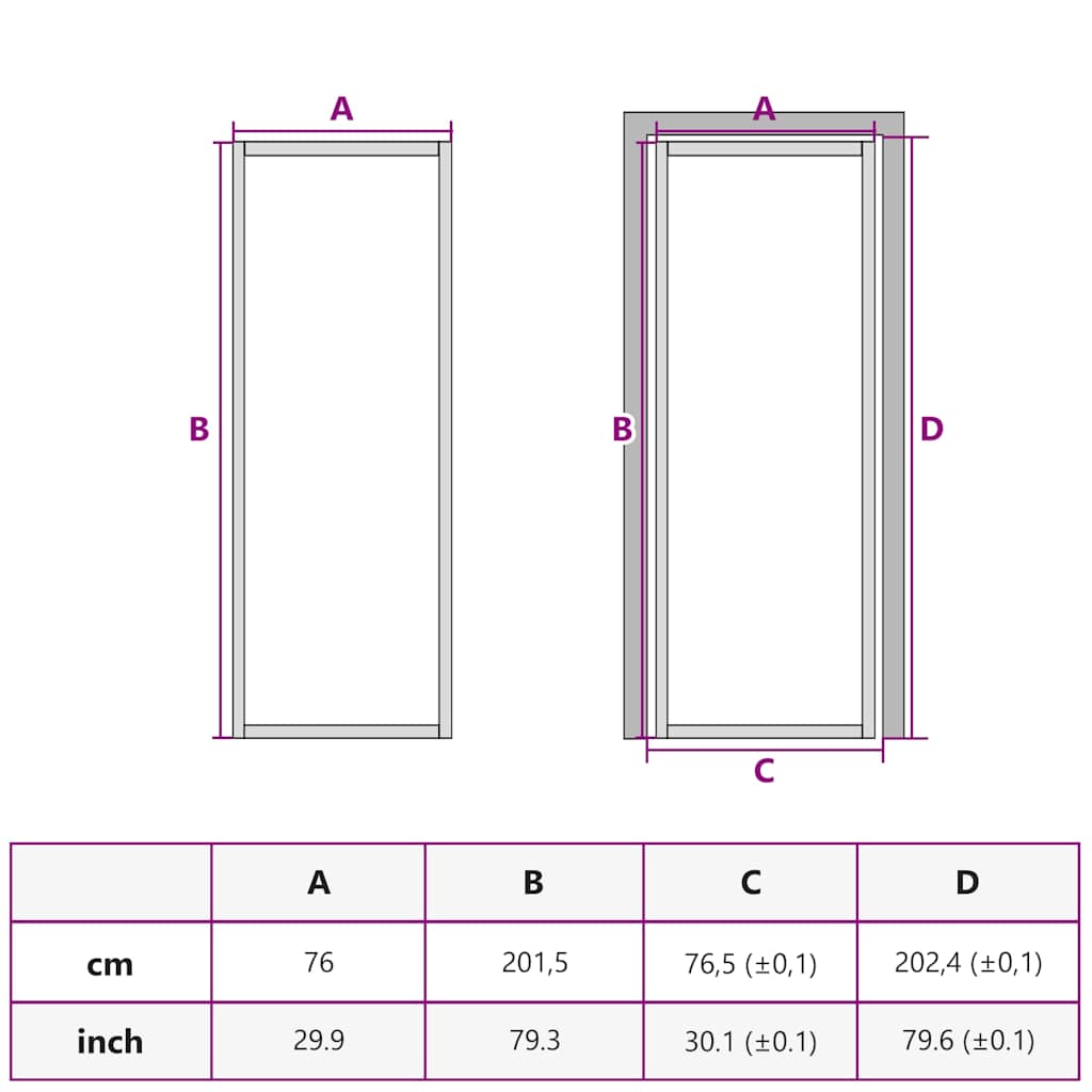 Interior Door Slim Black 76x201.5 cm Tempered Glass and Aluminium