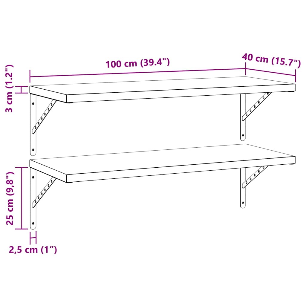 Wall Shelves 2 pcs 100x40 cm Silver Stainless Steel