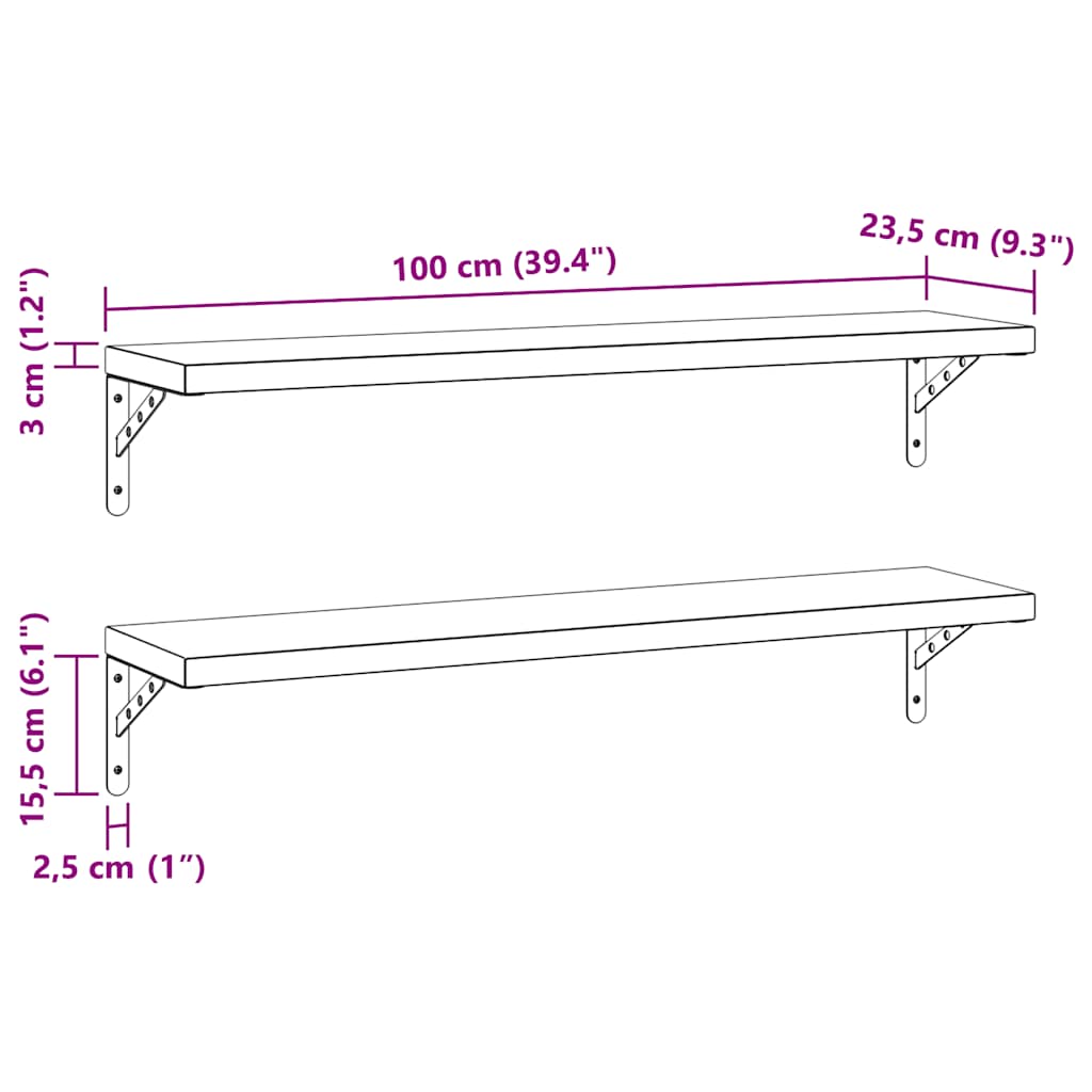 Wall Shelves 2 pcs 100x23,5 cm Silver Stainless Steel