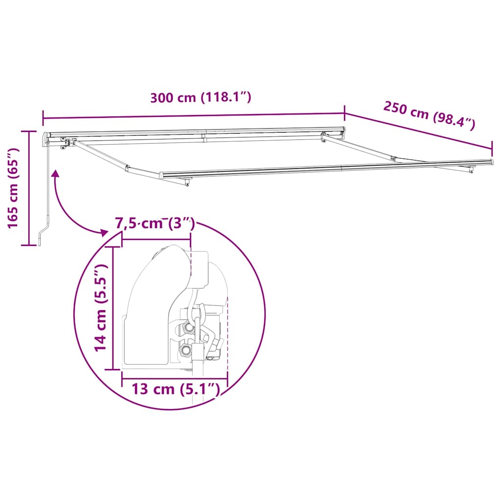 Manual Retractable Awning Burgundy 300x250 cm