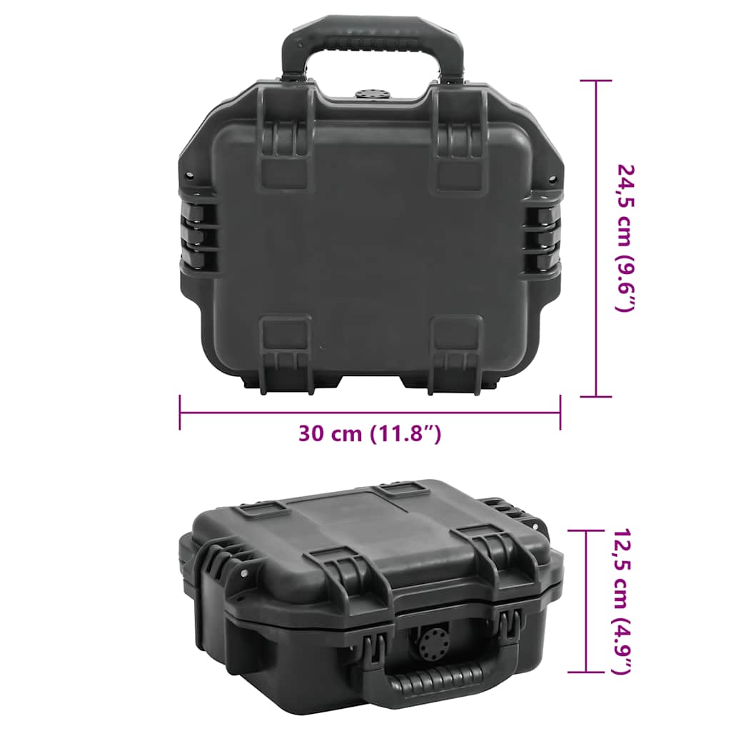 Portable Flight Case Black 30x24,5x12,5 cm PP