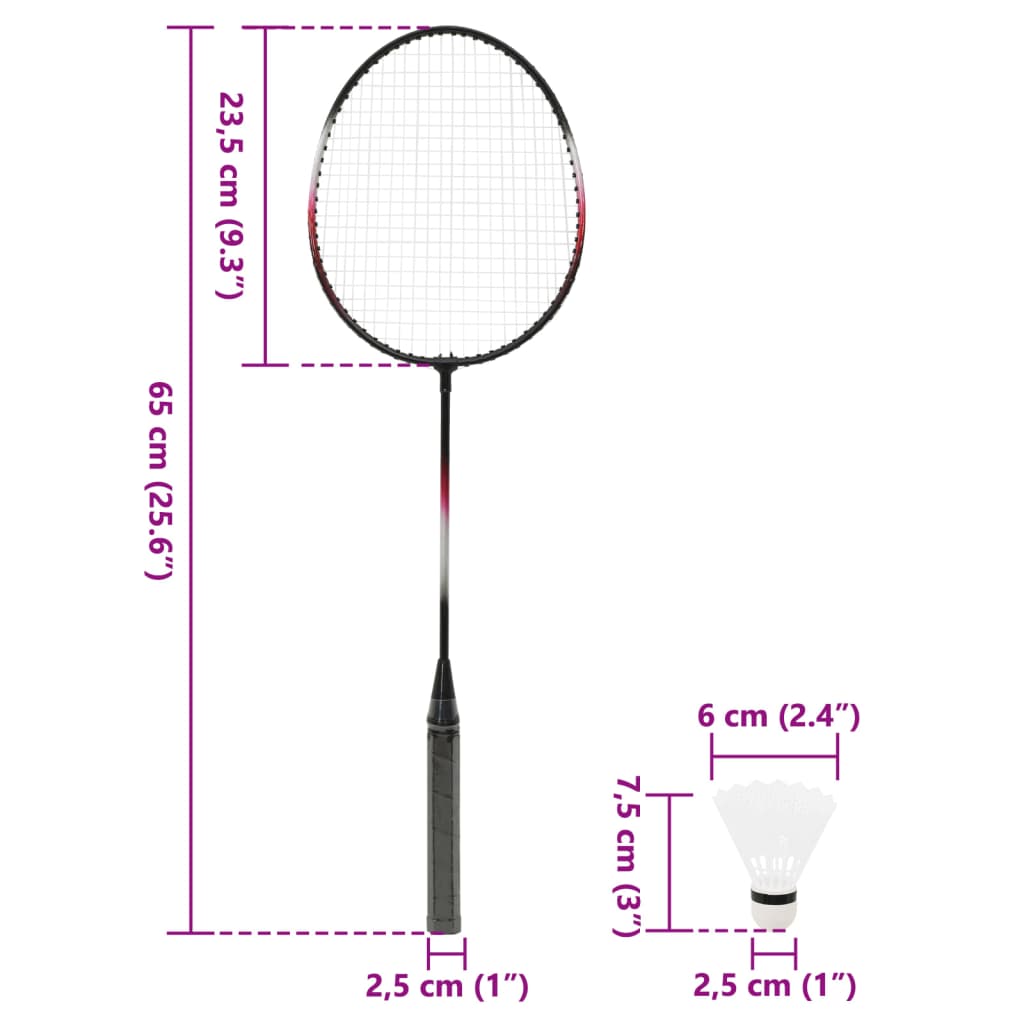 Badminton Set with 2 Rackets, Net & Storage Case 292x30x152 cm