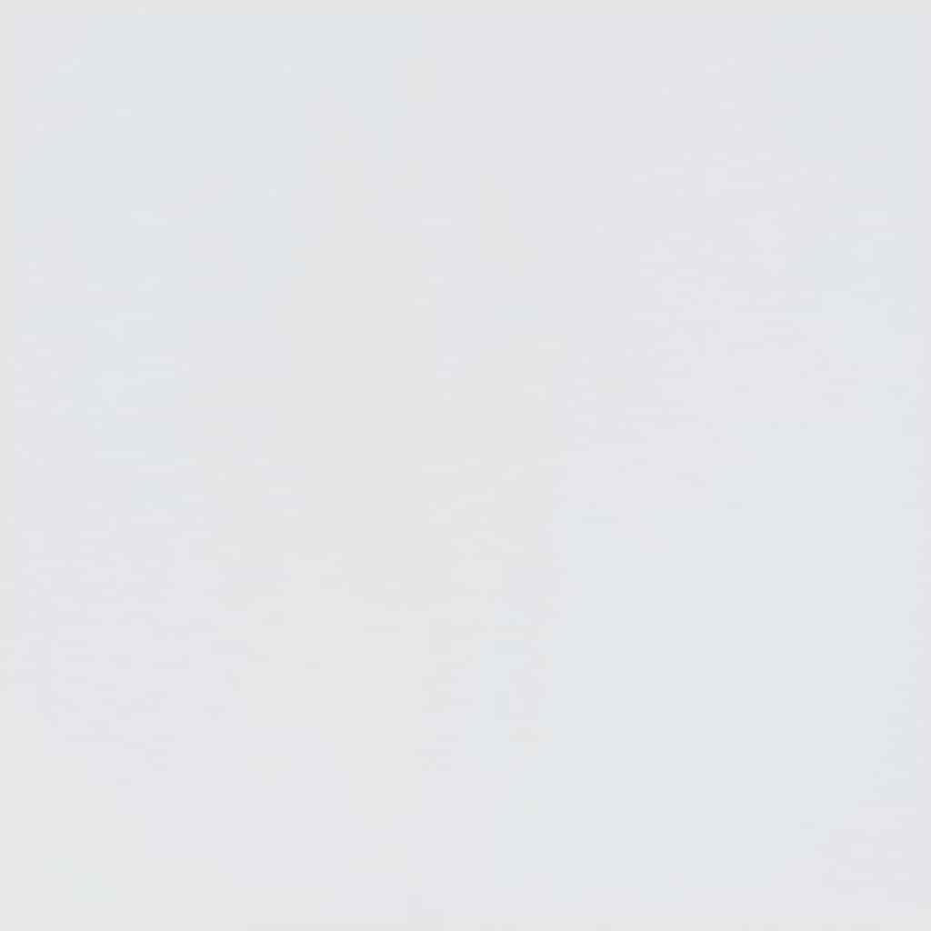 Hall Tree SANDNES White 45x40x159.5 cm Solid Wood Pine