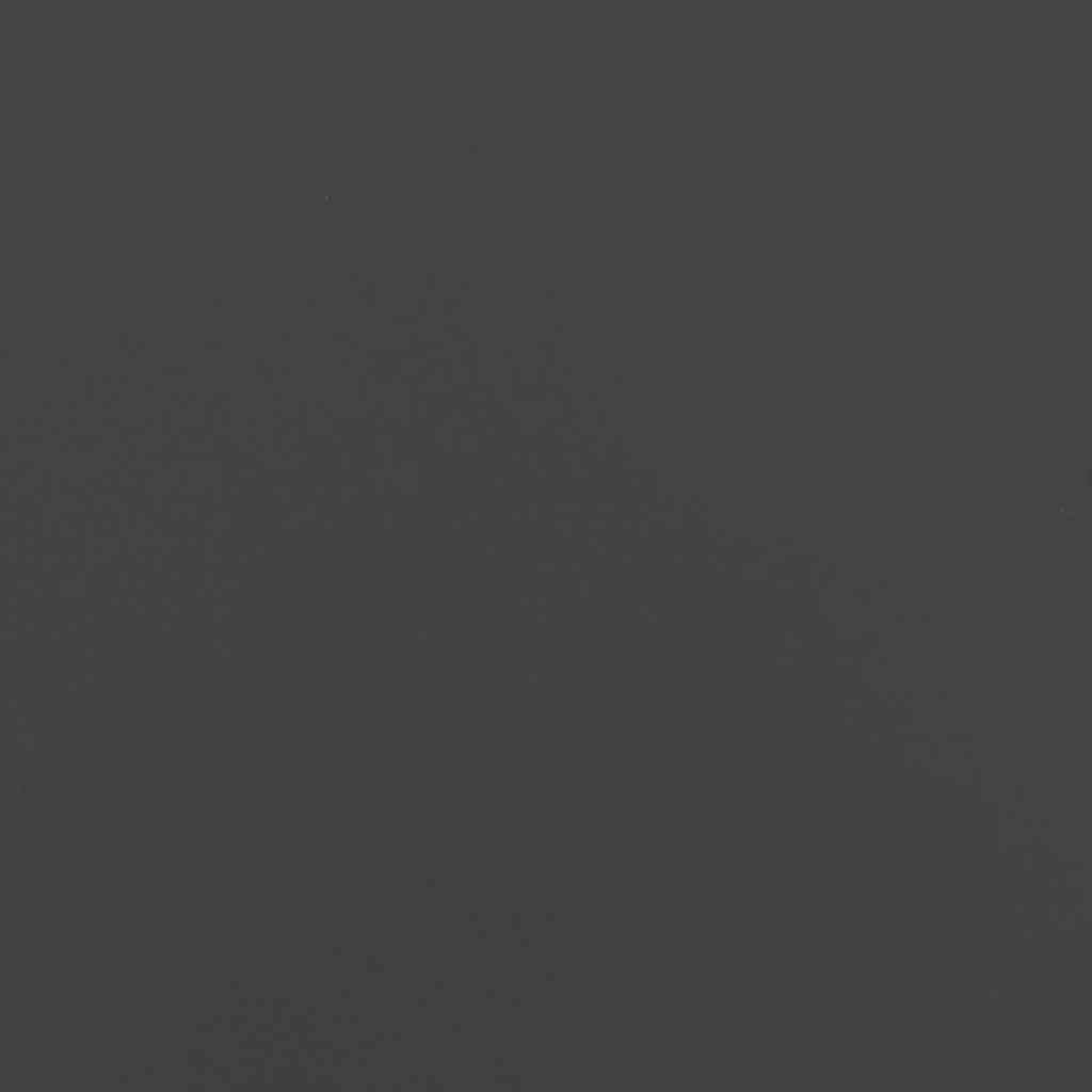 vidaXL Firewood Rack Black 34x25x100 cm Cold-rolled steel