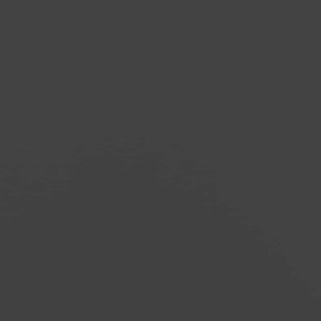 vidaXL Firewood Rack Black 40x25x100 cm Cold-rolled steel