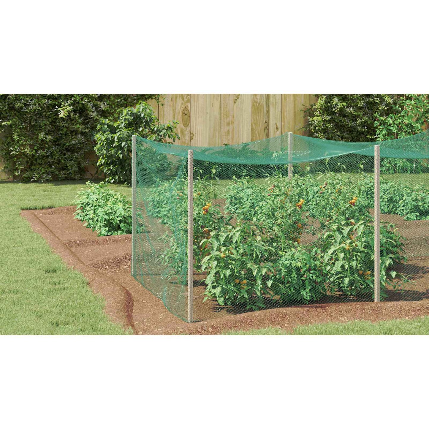 Bird Protection Net Green 2 x 25 m Polyethylene
