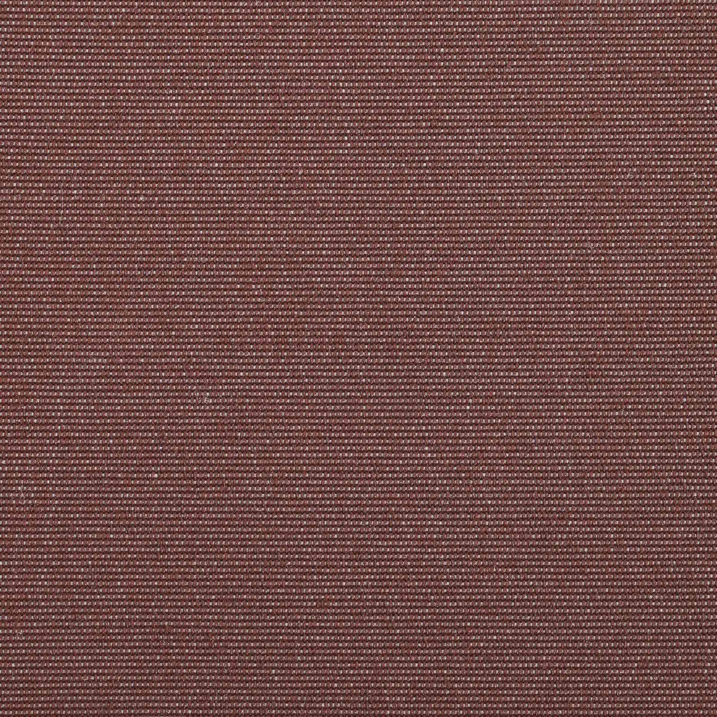 Electric Retractable Awning Brown and White 5 x 3.5 m