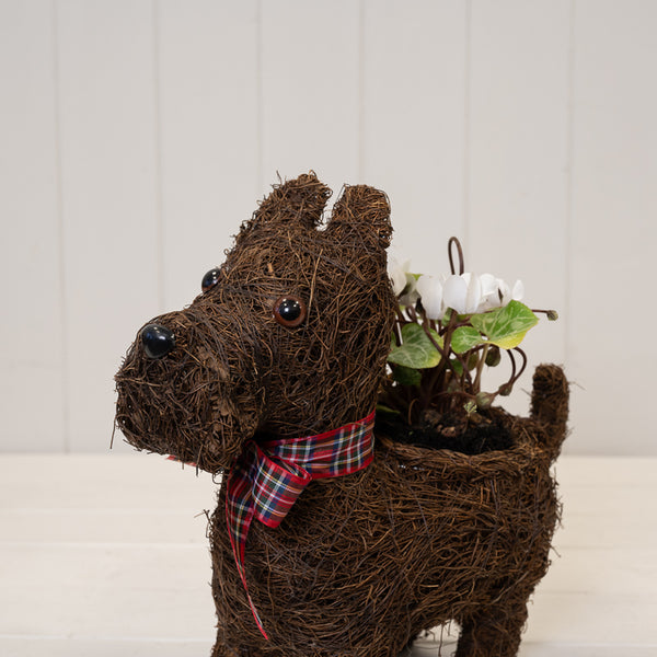 37x20.5cm Peeled and Unpealed Split Willow Oval Basket With Ears