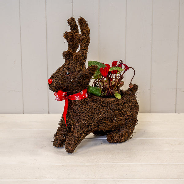 Standing Reindeer Planter with Christmas Scarf