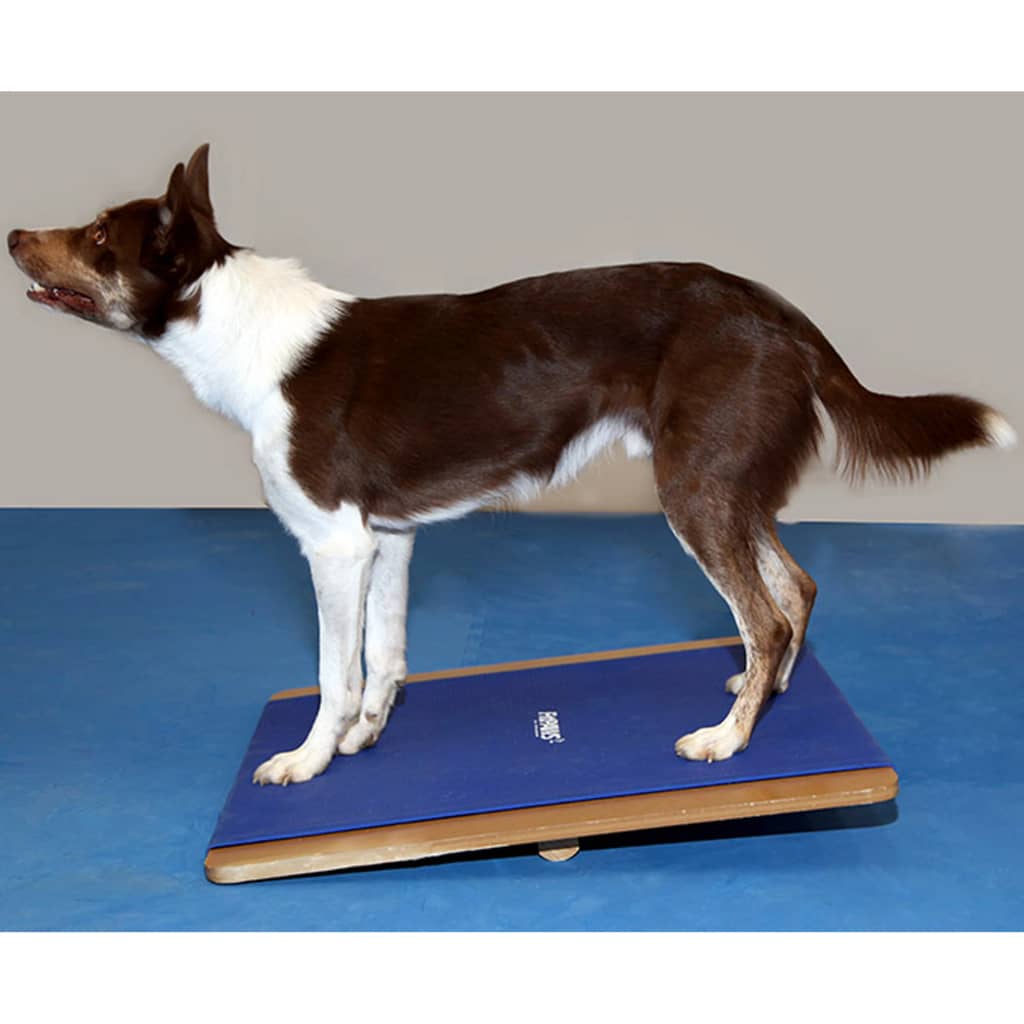 FitPAWS Giant Rocker Board 75x75 cm Blue