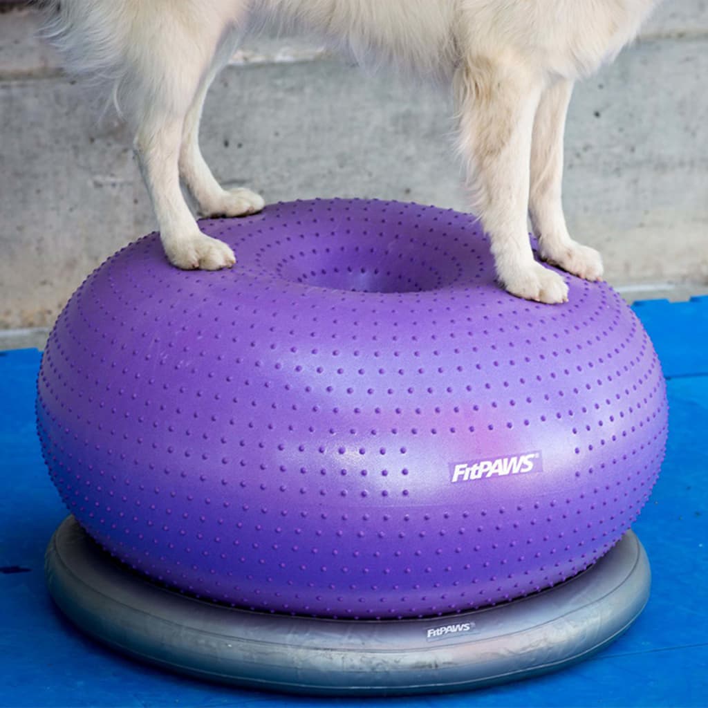 FitPAWS Donut Holder 63 cm Grey