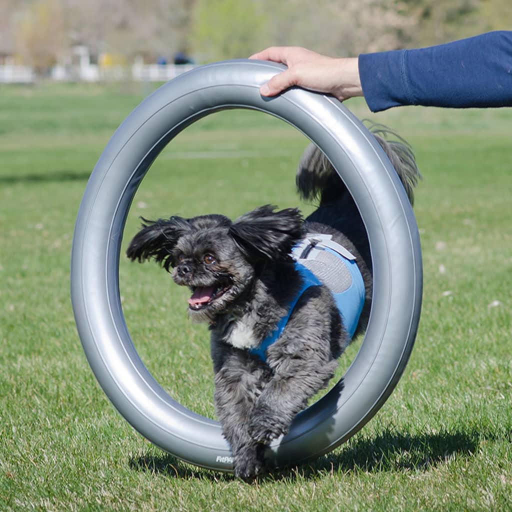 FitPAWS Donut Holder 63 cm Grey