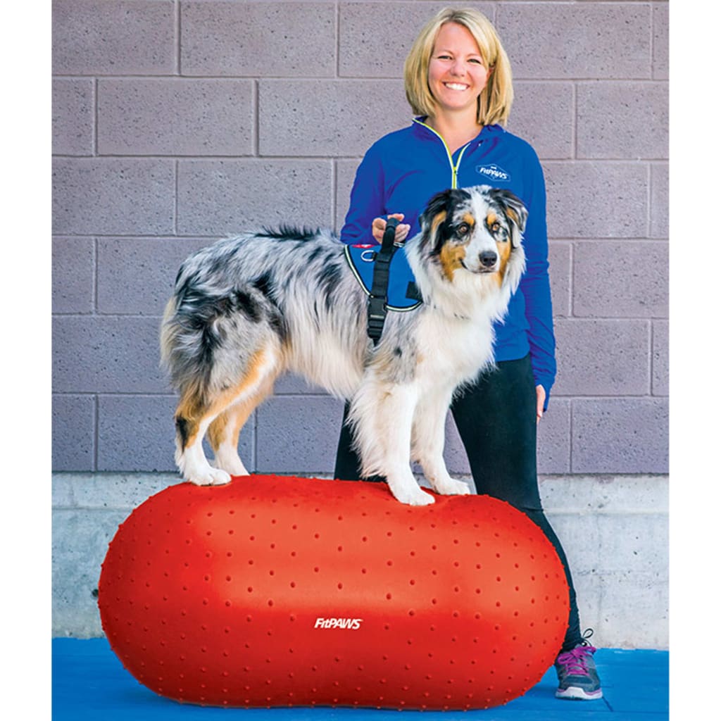 FitPAWS Pet Balance Platform Trax Peanut 50 cm Red