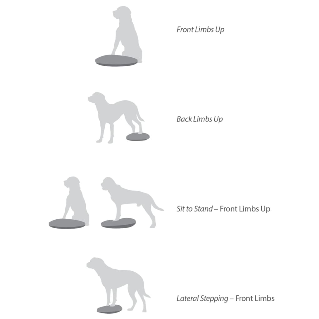 FitPAWS Pet Balance Disc 36 cm Razzleberry