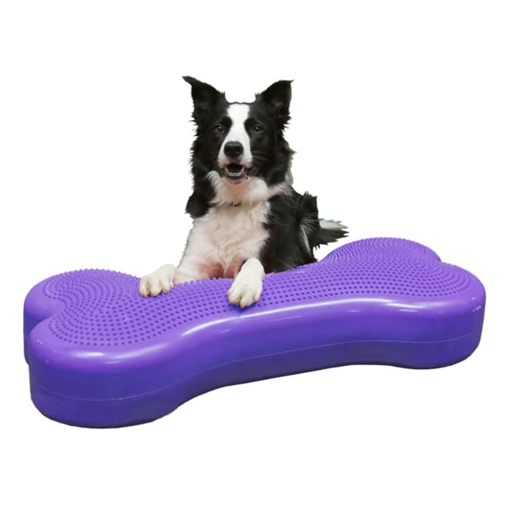 FitPAWS Pet Balance Platform Giant K9FITbone PVC Violet