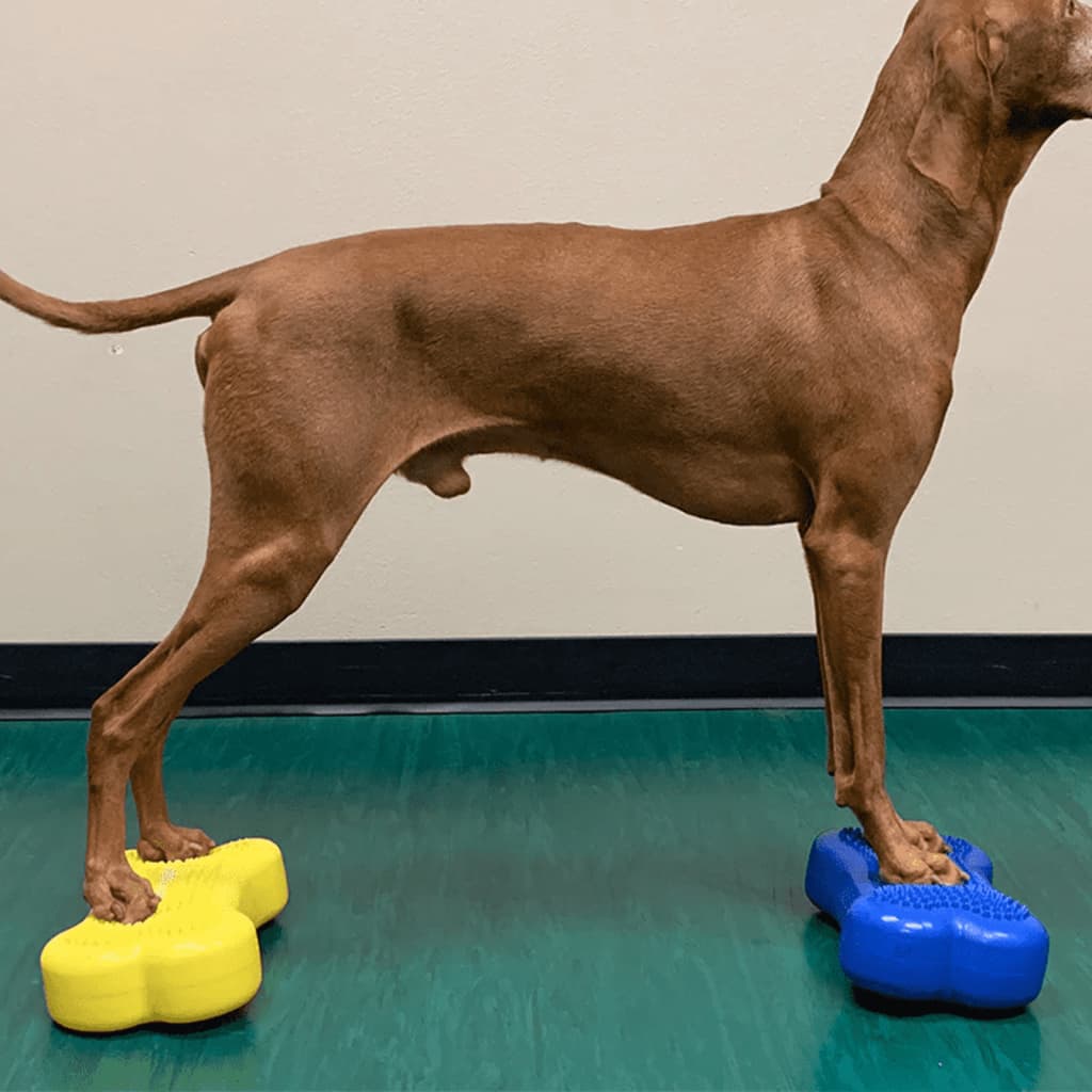 FitPAWS Pet Balance Platform Mini K9FITbone 2 pcs 29x16.5x6 cm Blue