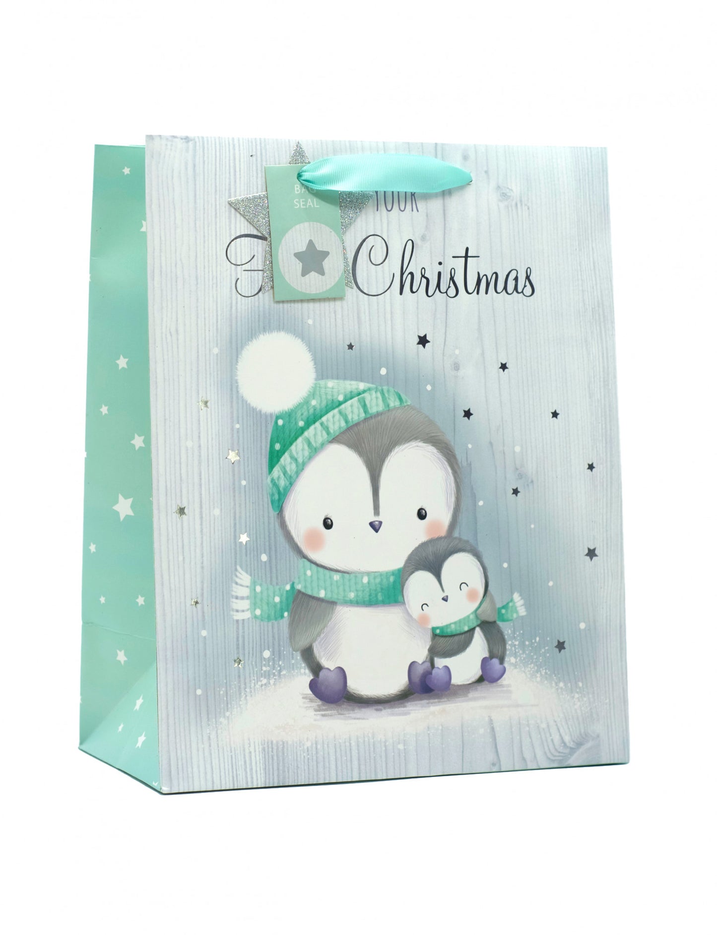 Baby's First Christmas Large Bag