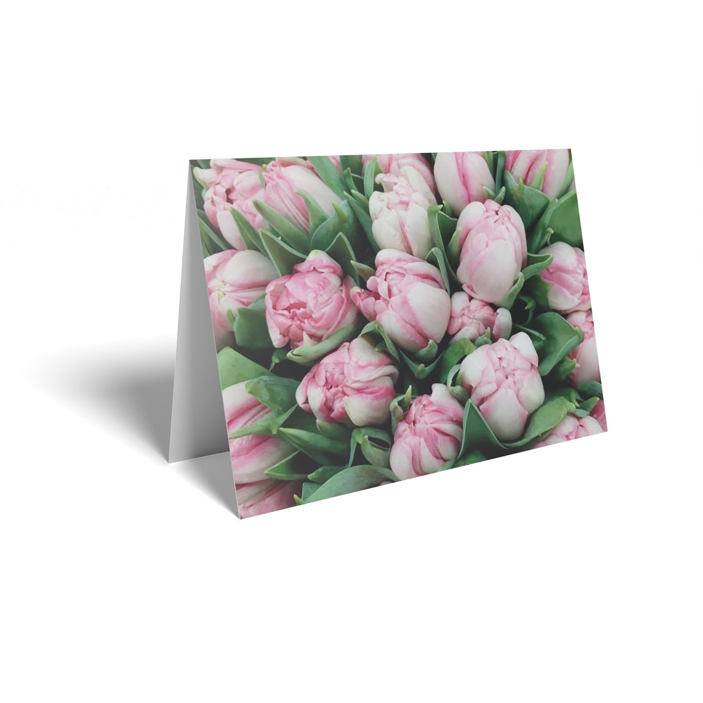 Pink/White Tulips Folded Card with Care Info (pack of 25)