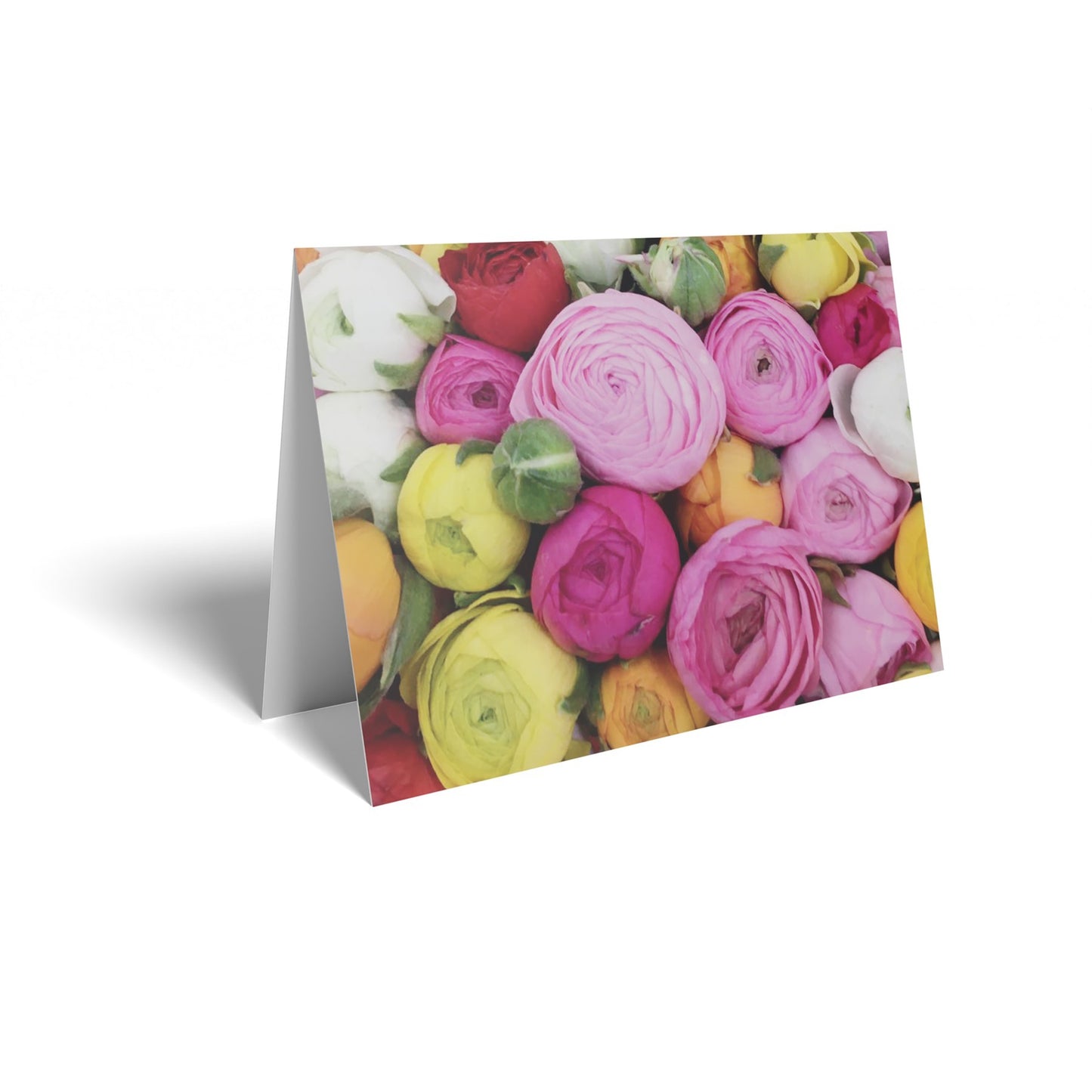 Ranunculus Mixed Folded Card with Care Info (pack of 25)