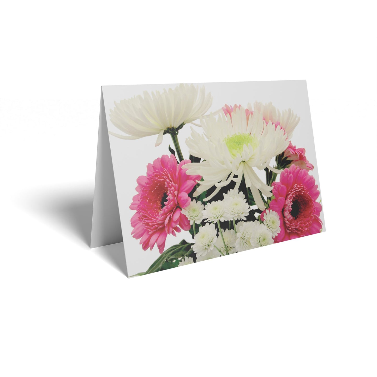 White Chrysanthemum/Pink Gerbera Folded Card with Care Info (pack of 25)
