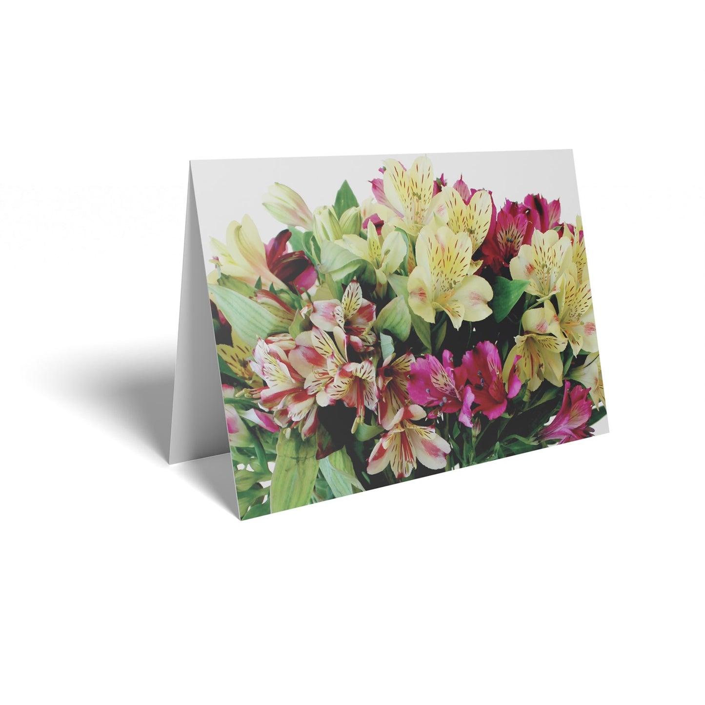Mixed Colour Alstromera Folded Card with Care Info (pack of 25)