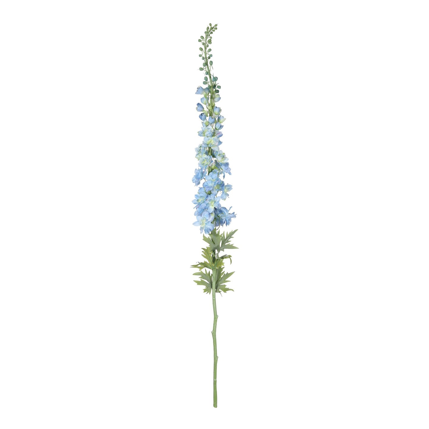 Botanica Giant Blue Delphinium (137cm)