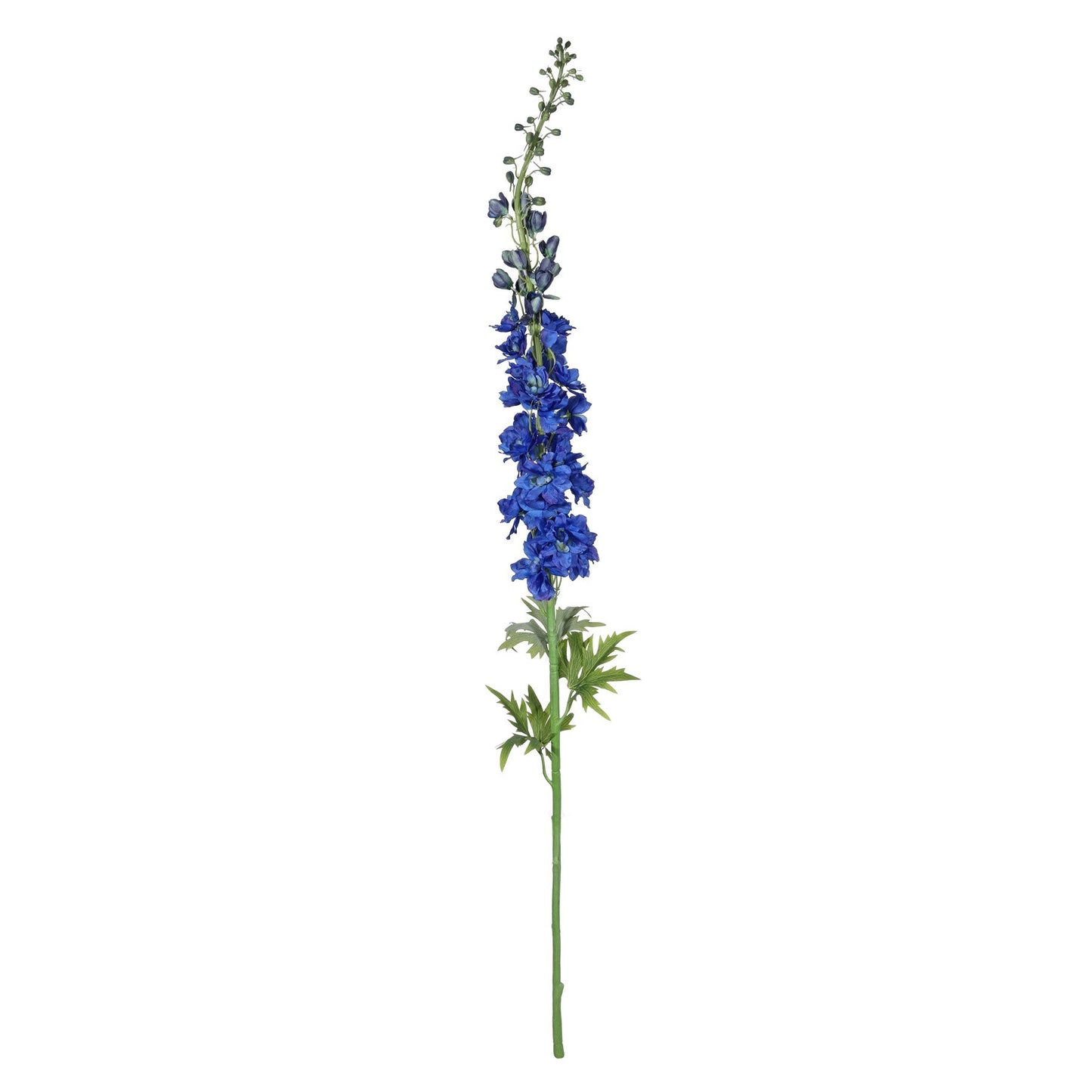 Botanica Giant Dark Blue Delphinium (137cm)