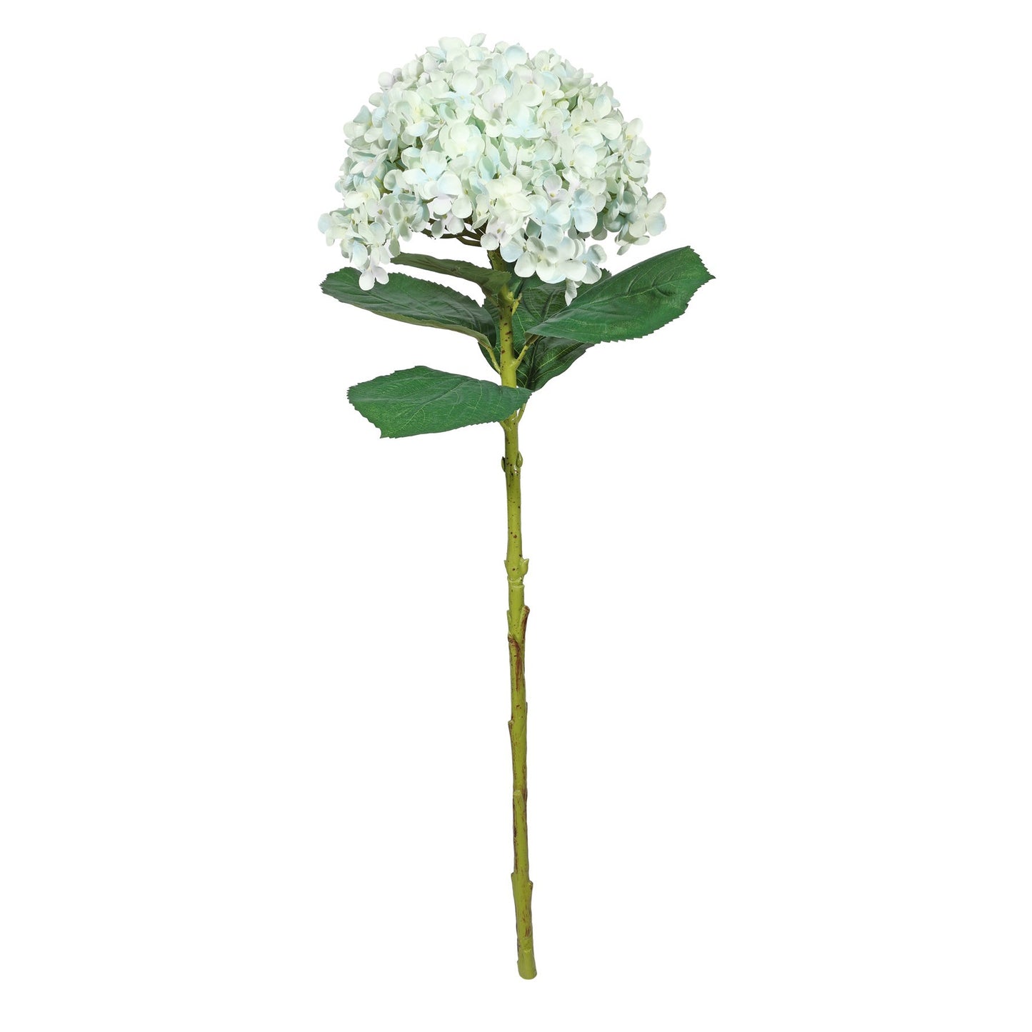 Botanica Giant Pale Blue Mop Head Hydrangea (73cm)