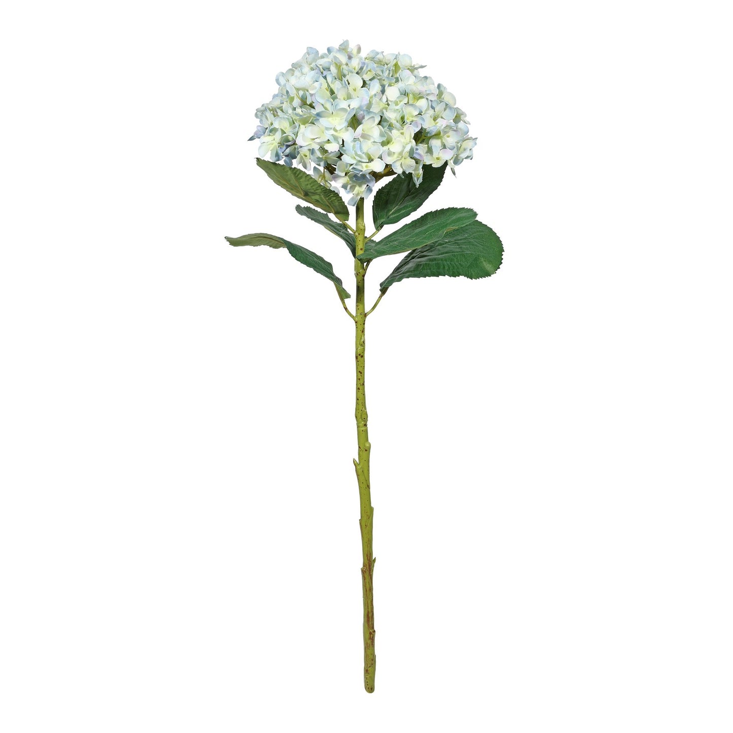 Botanica Giant Pale Blue &amp; Cream Mop Head Hydrangea (73cm)
