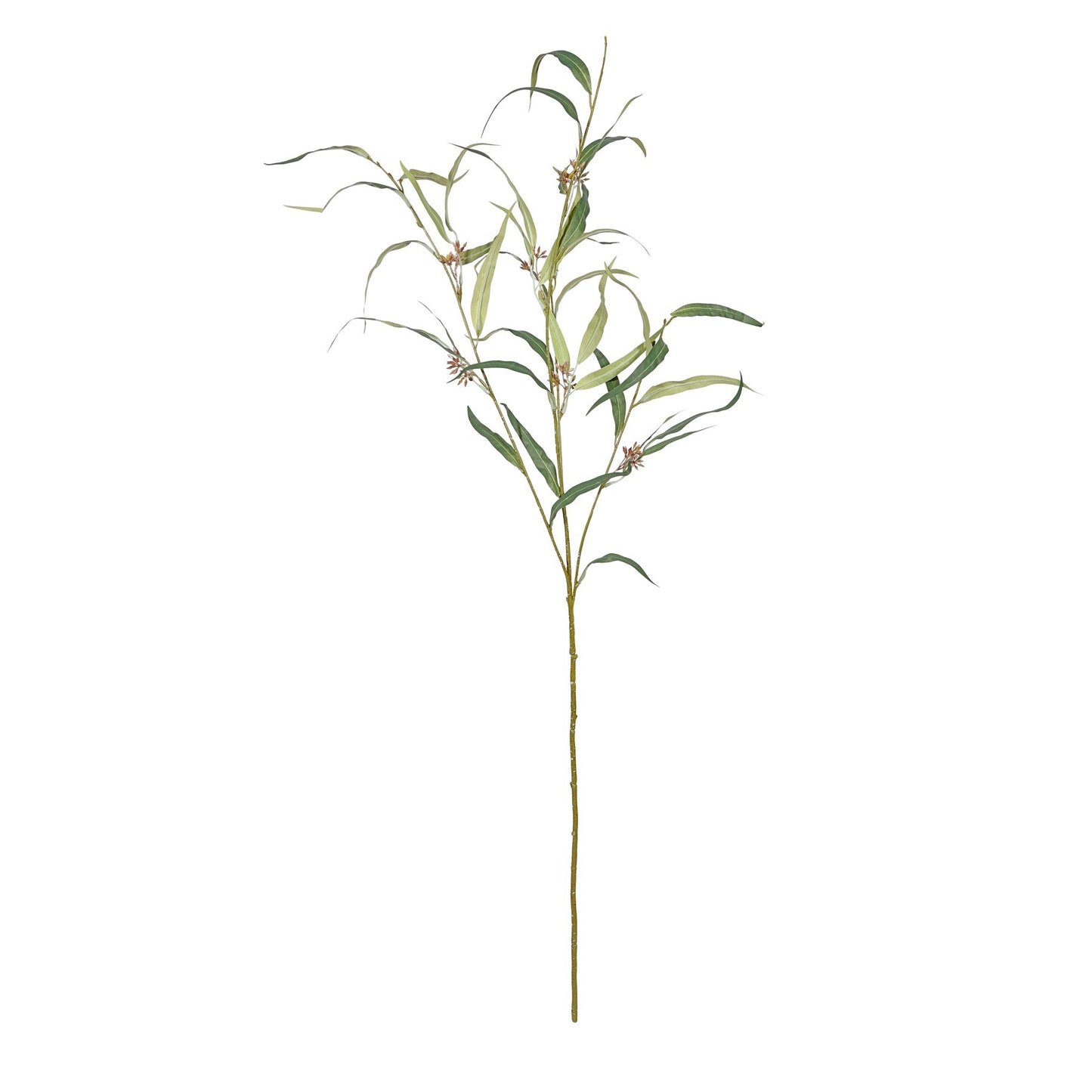 Green Botanica Willow Eucalyptus (116cm)