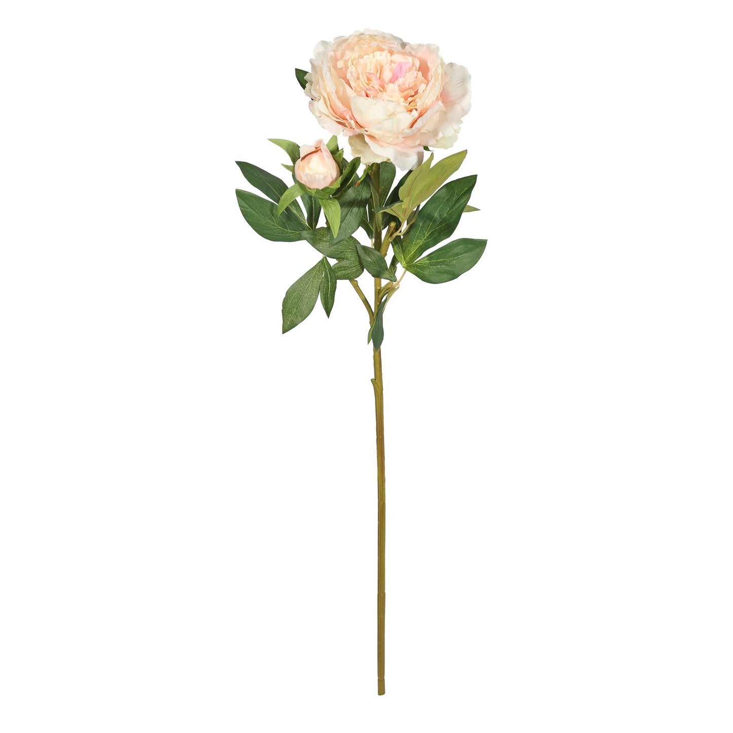 Botanica Giant Pink Peony (91cm)