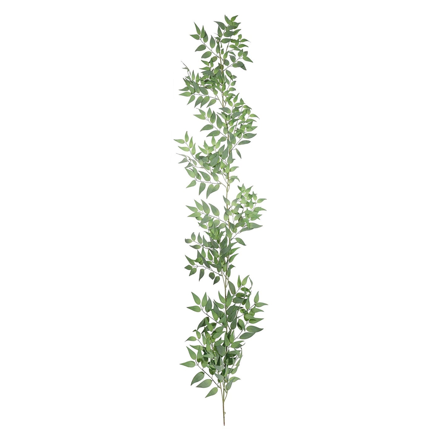 Green Botanica Ruscus Garland (167cm)