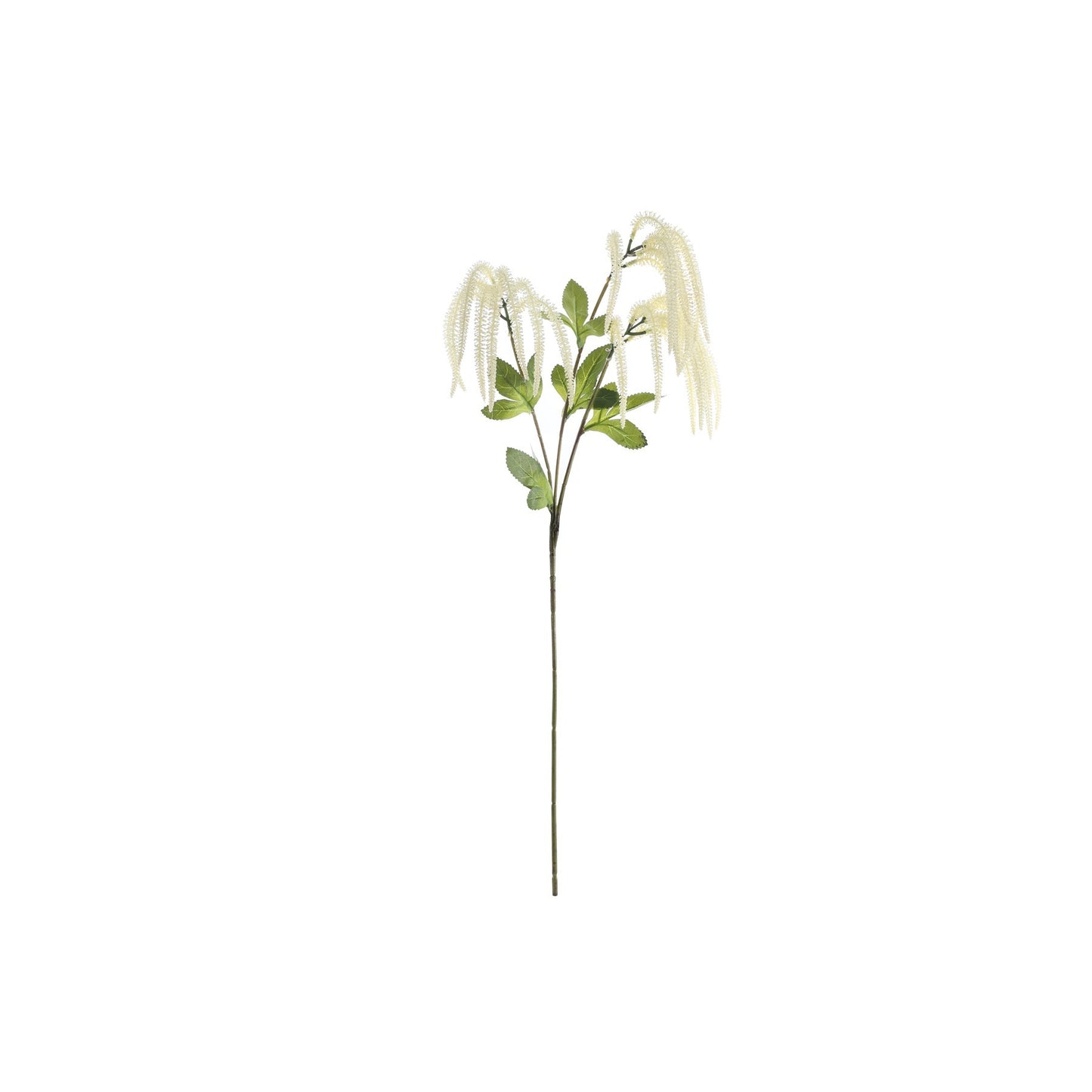 Essential White Catkin Spray (76cm)