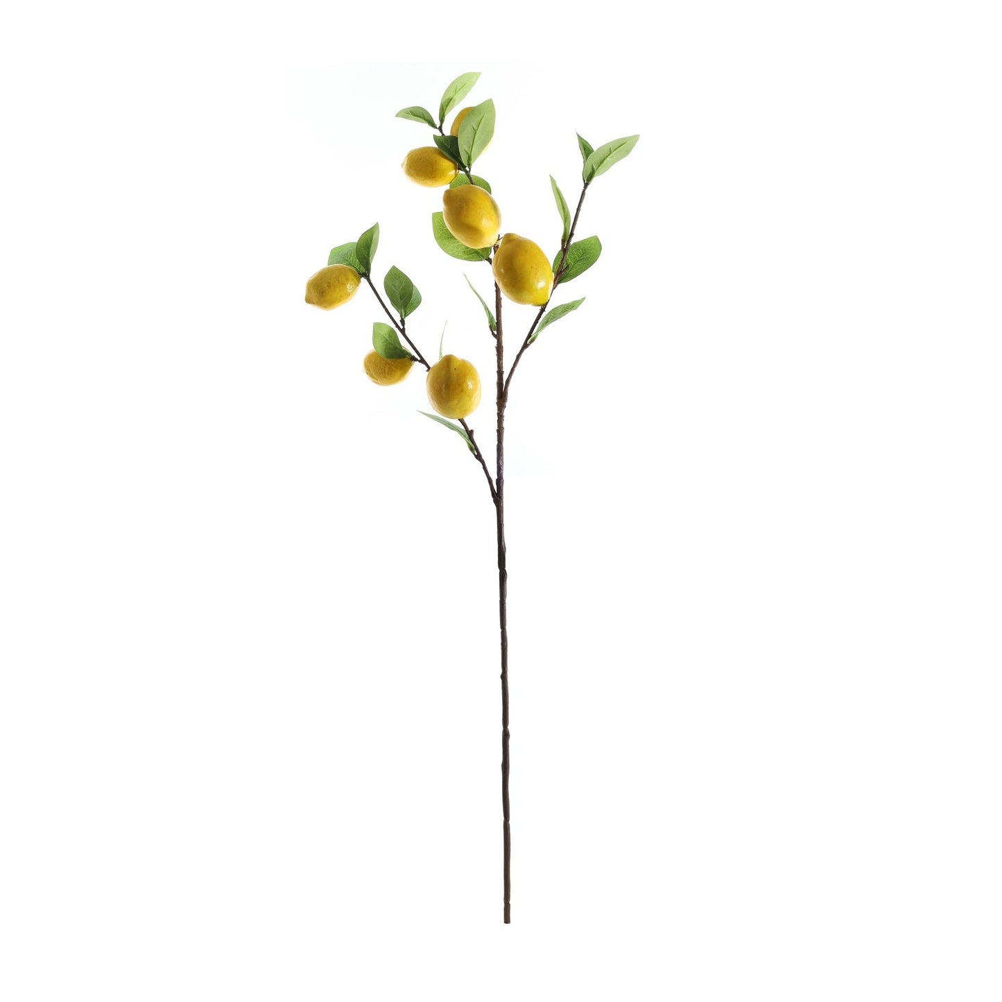 Lemon Branch (90cm)