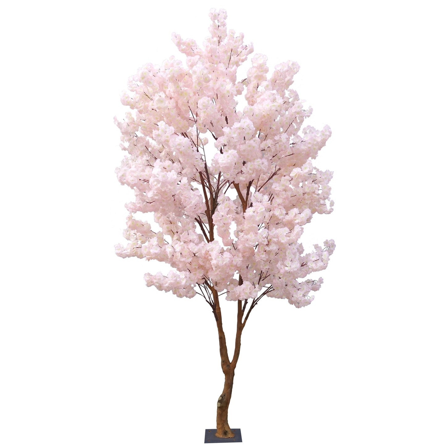 Light Pink Sakura Blossom Tree (2.8m)