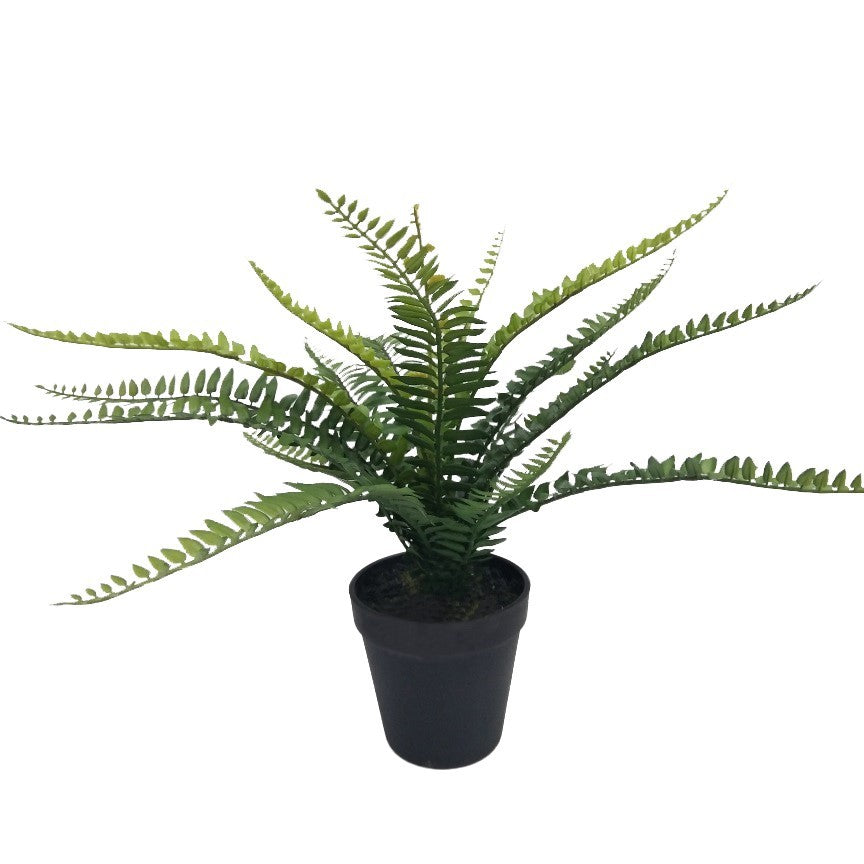 Botanica Fern Plant (35cm)