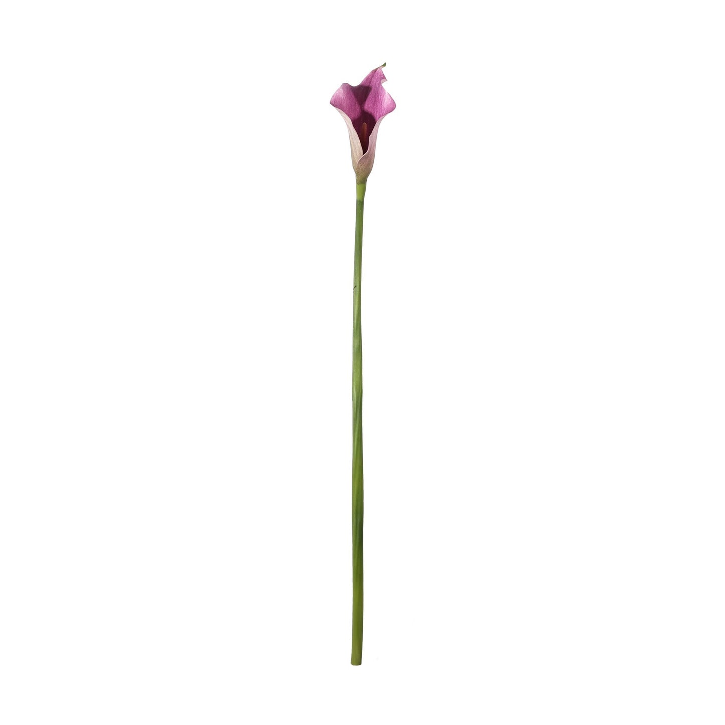 Botanica Purple Calla Lily (60cm)