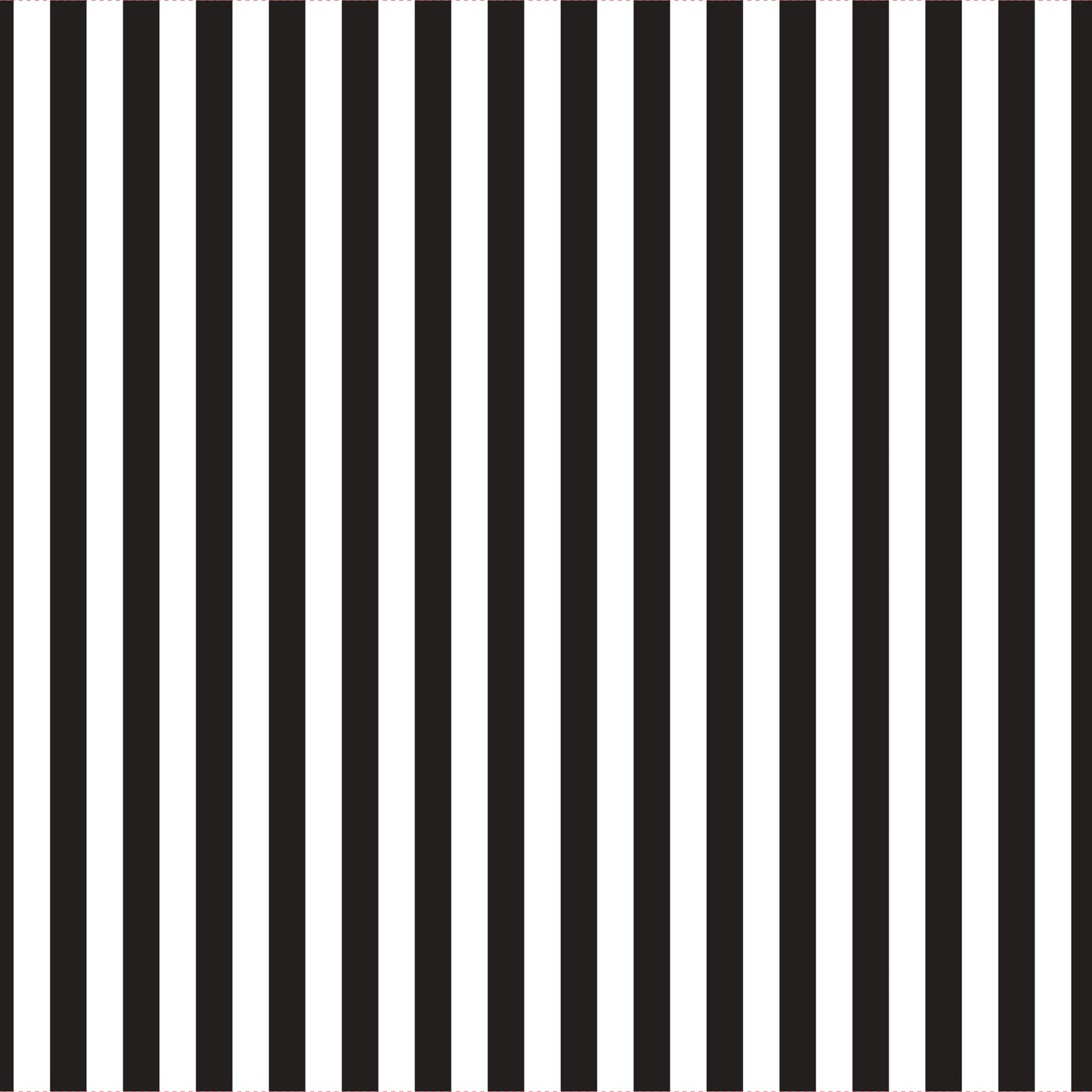 Clear Black Pinstripe Cello Wrap (50mx80cm)