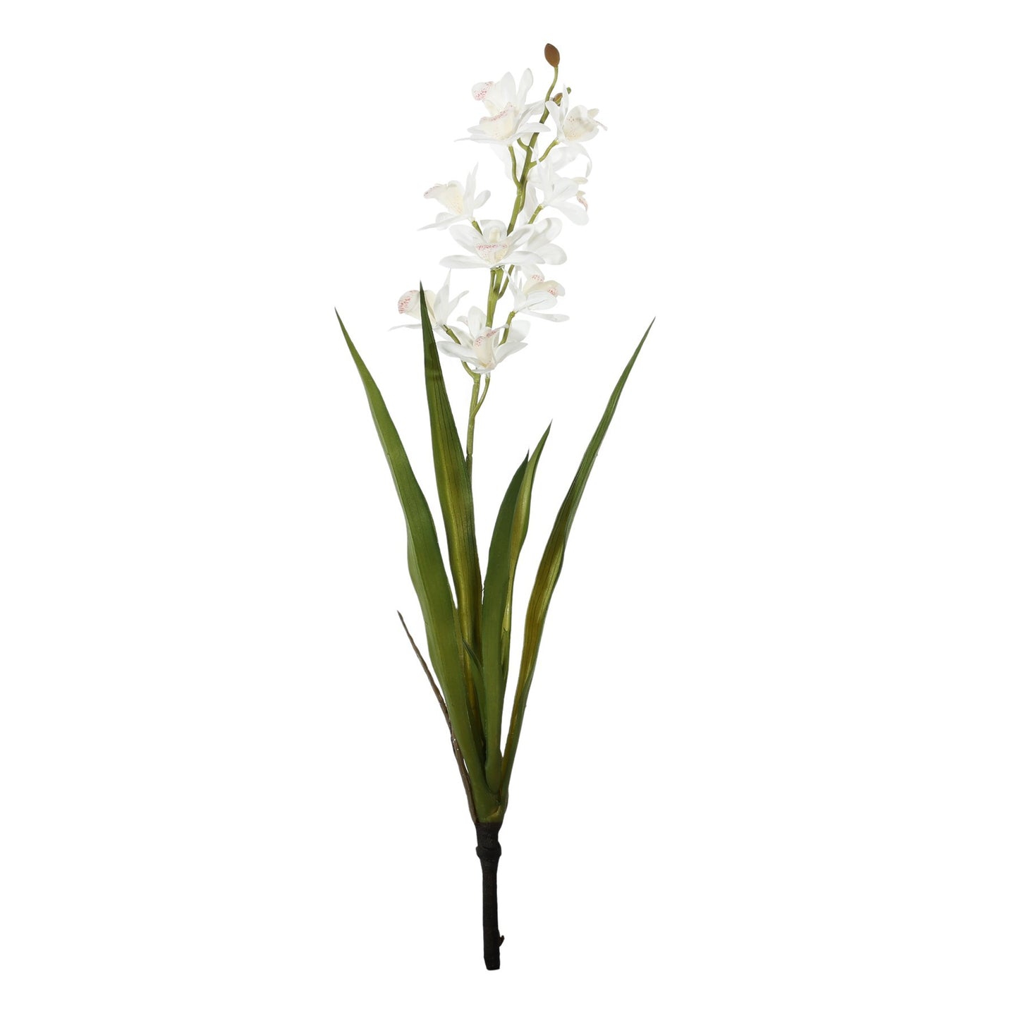 Botanica Mini White Cymbidium Plant (45cm)